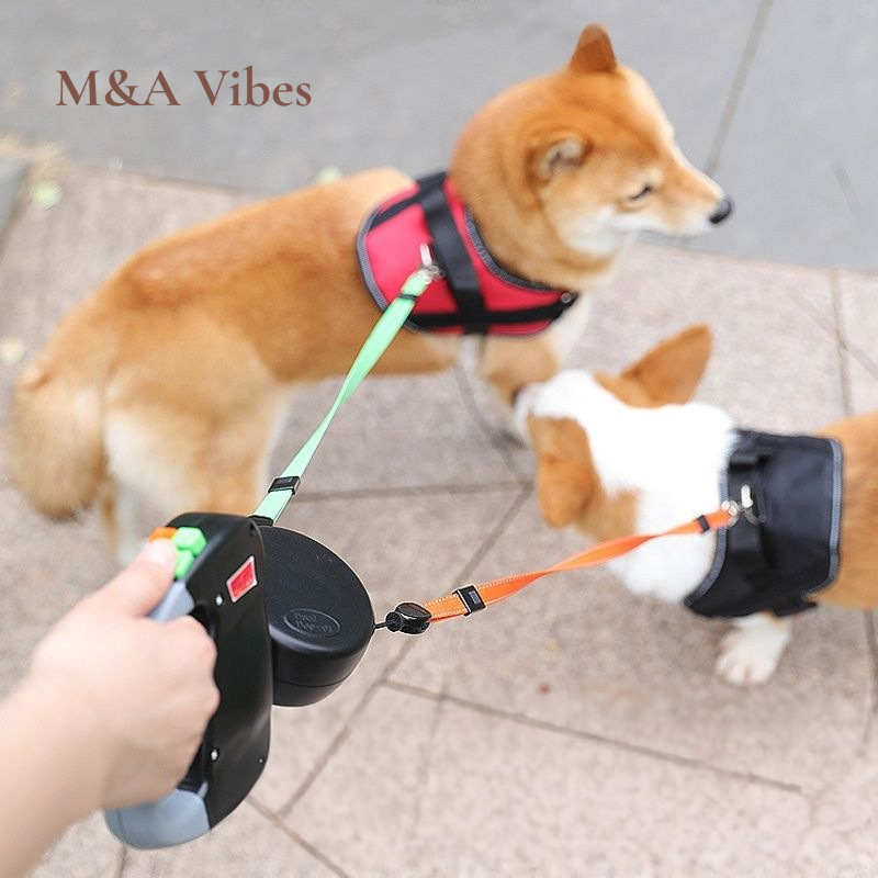 Correa doble retráctil