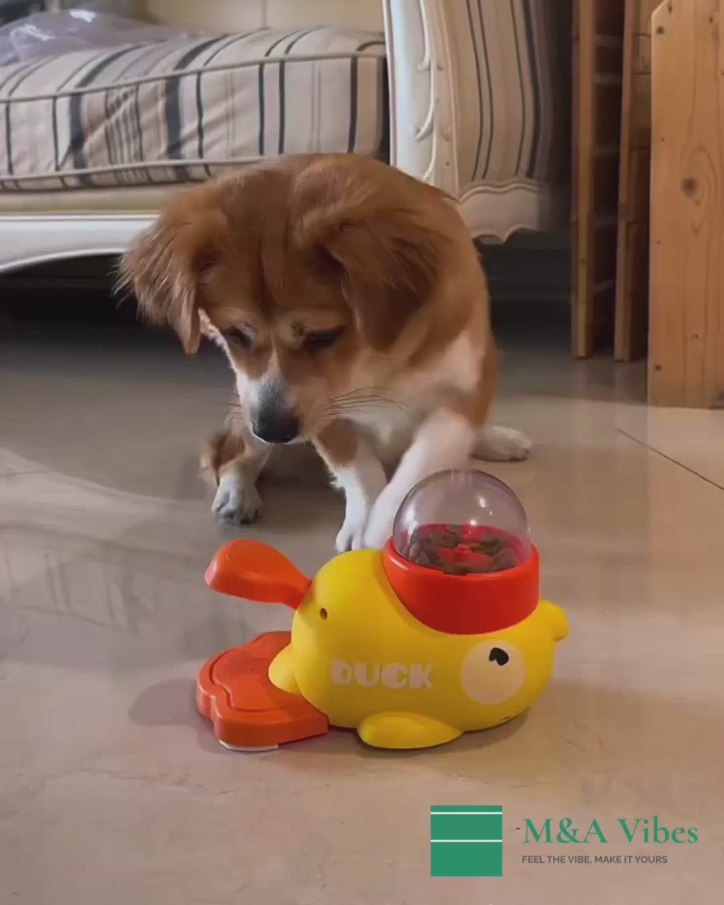 Dispensador de comida interactivo