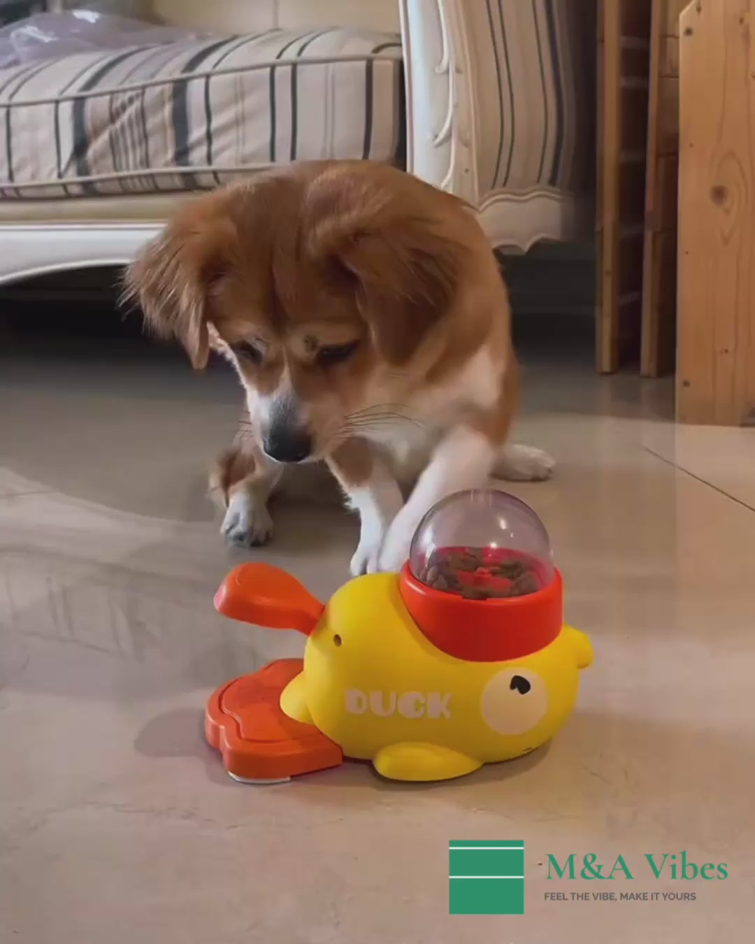 Dispensador de comida interactivo